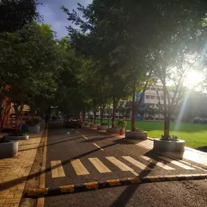 Adorable nature scene of PCCOE Campus in the morning time